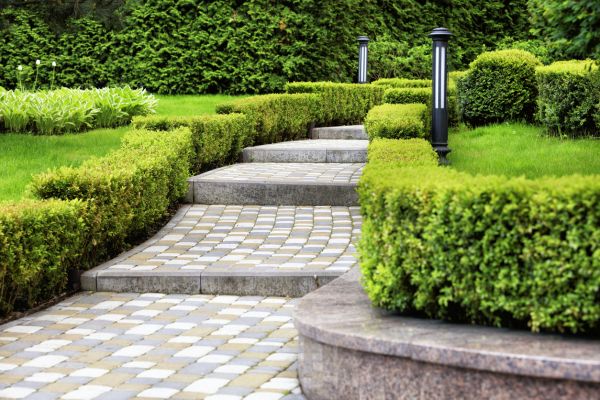Backyard Remodeling in Peoria