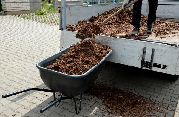Bulk Mulch Delivery in Peoria