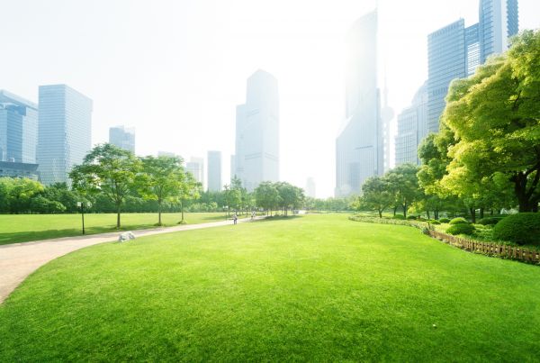 Commercial Landscape Maintenance in Peoria
