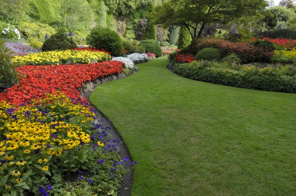 Landscaping Maintenance in Peoria