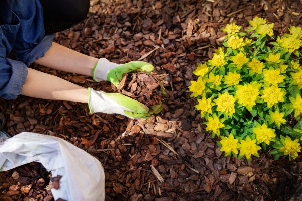 Garden Mulching in Peoria