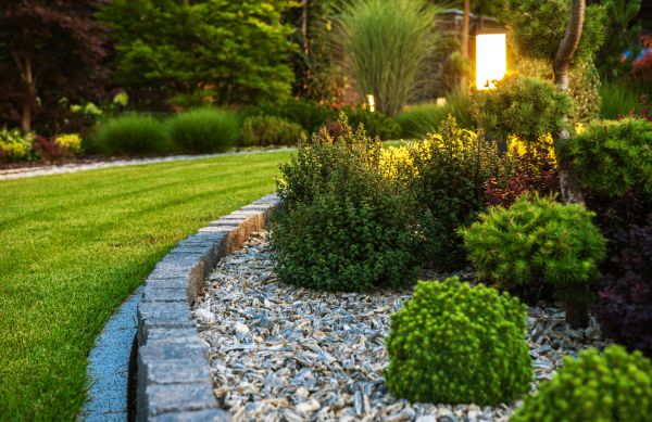 Landscaping Service in Peoria