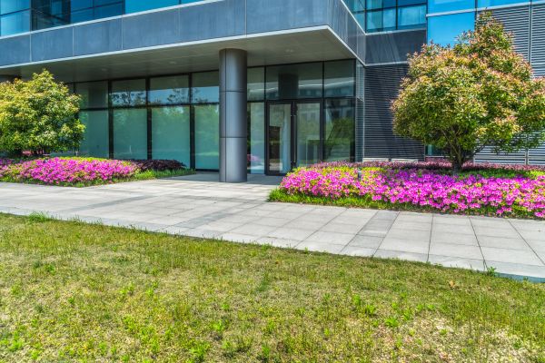 Commercial Gardening in Peoria