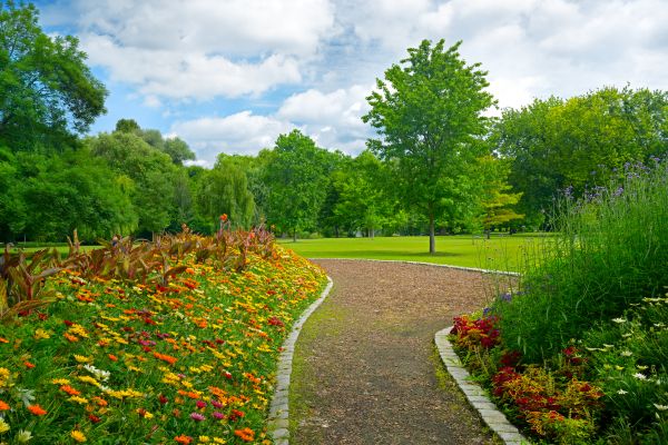 Park Landscaping in Peoria