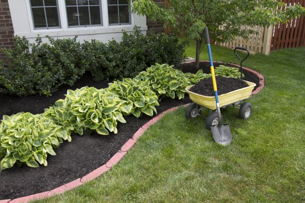 Landscape Mulching in Peoria