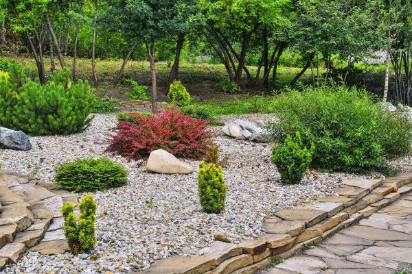 Hardscape Landscaping in Peoria