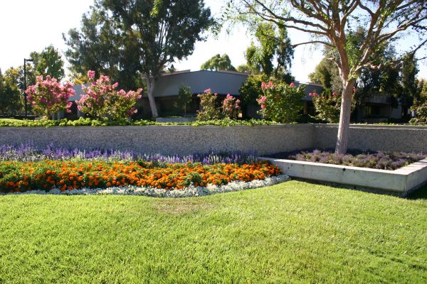 Commercial Landscape Service in Peoria
