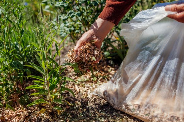 Wood Mulch Installation Service
