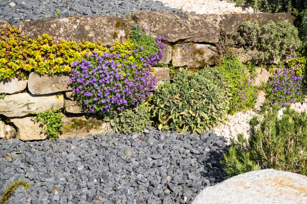 Landscaping Rocks Installation in Peoria