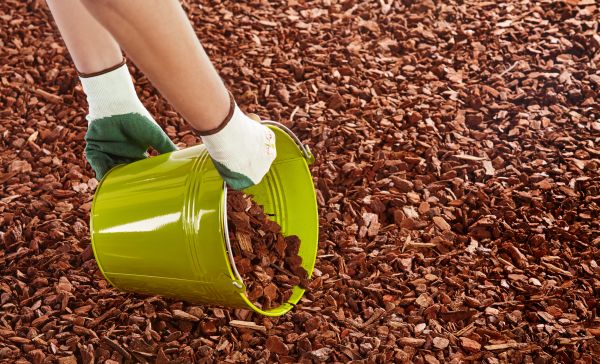 Wood Chip Landscaping in Peoria
