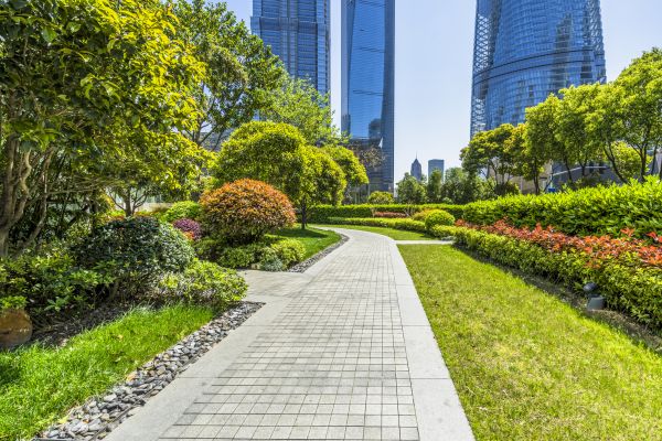 Commercial Landscaping in Peoria